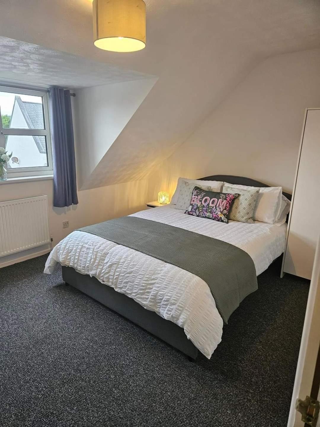 Cosy At The Castle Apartment Carrickfergus Exterior photo